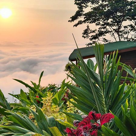 Minca Sintropia - Sustainable Lodge & Organic Coffee Finca Exterior photo