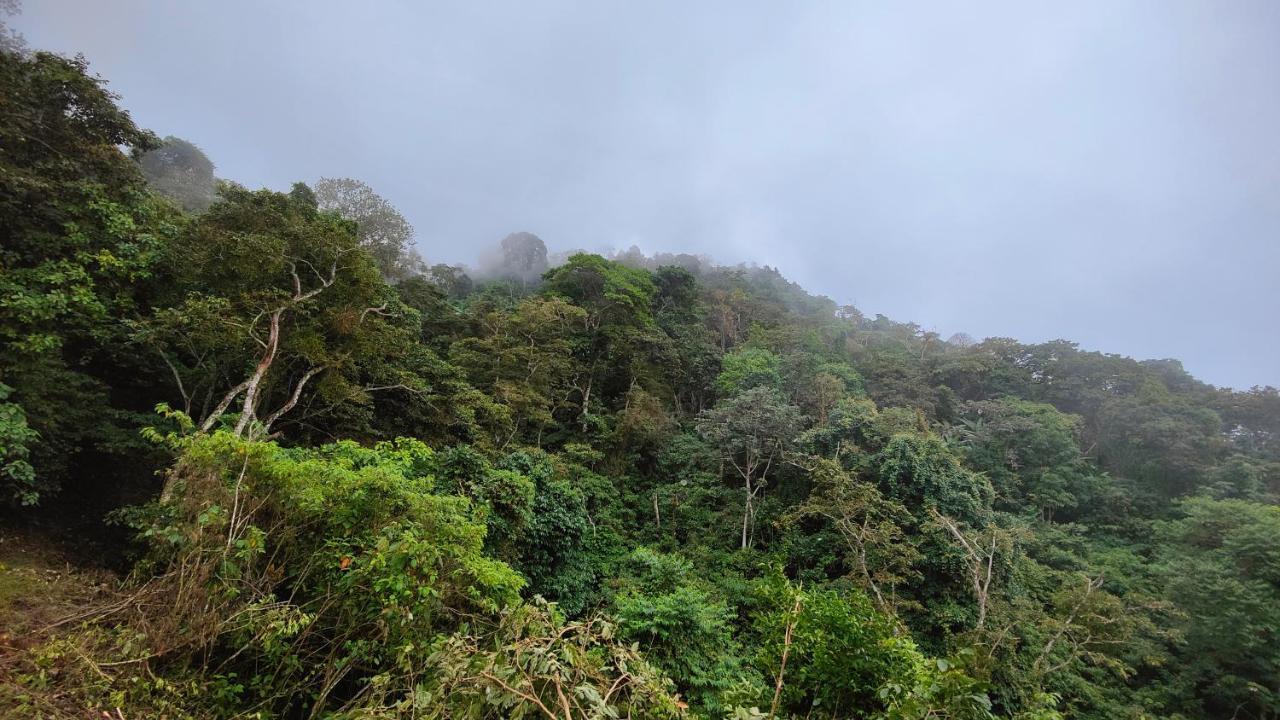 Minca Sintropia - Sustainable Lodge & Organic Coffee Finca Exterior photo