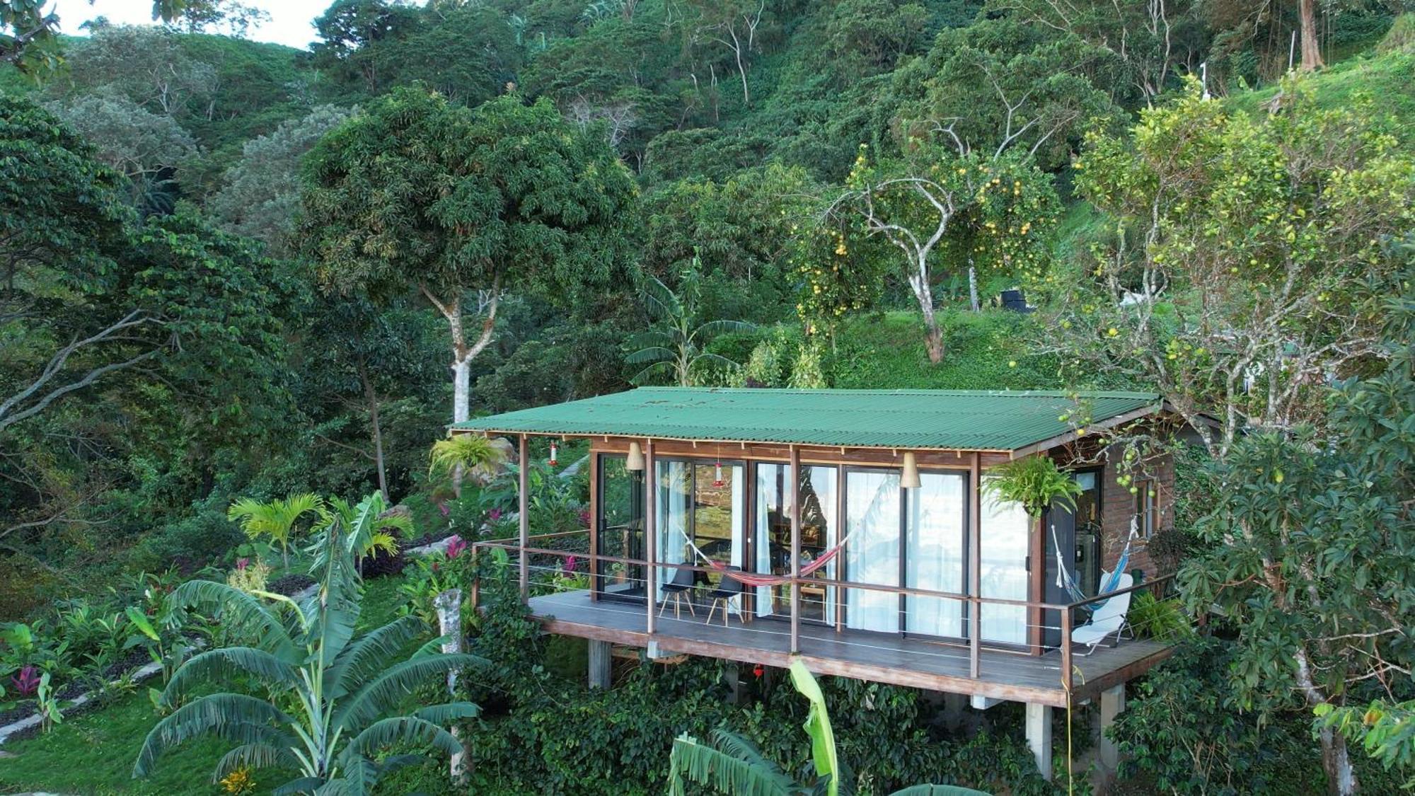 Minca Sintropia - Sustainable Lodge & Organic Coffee Finca Exterior photo