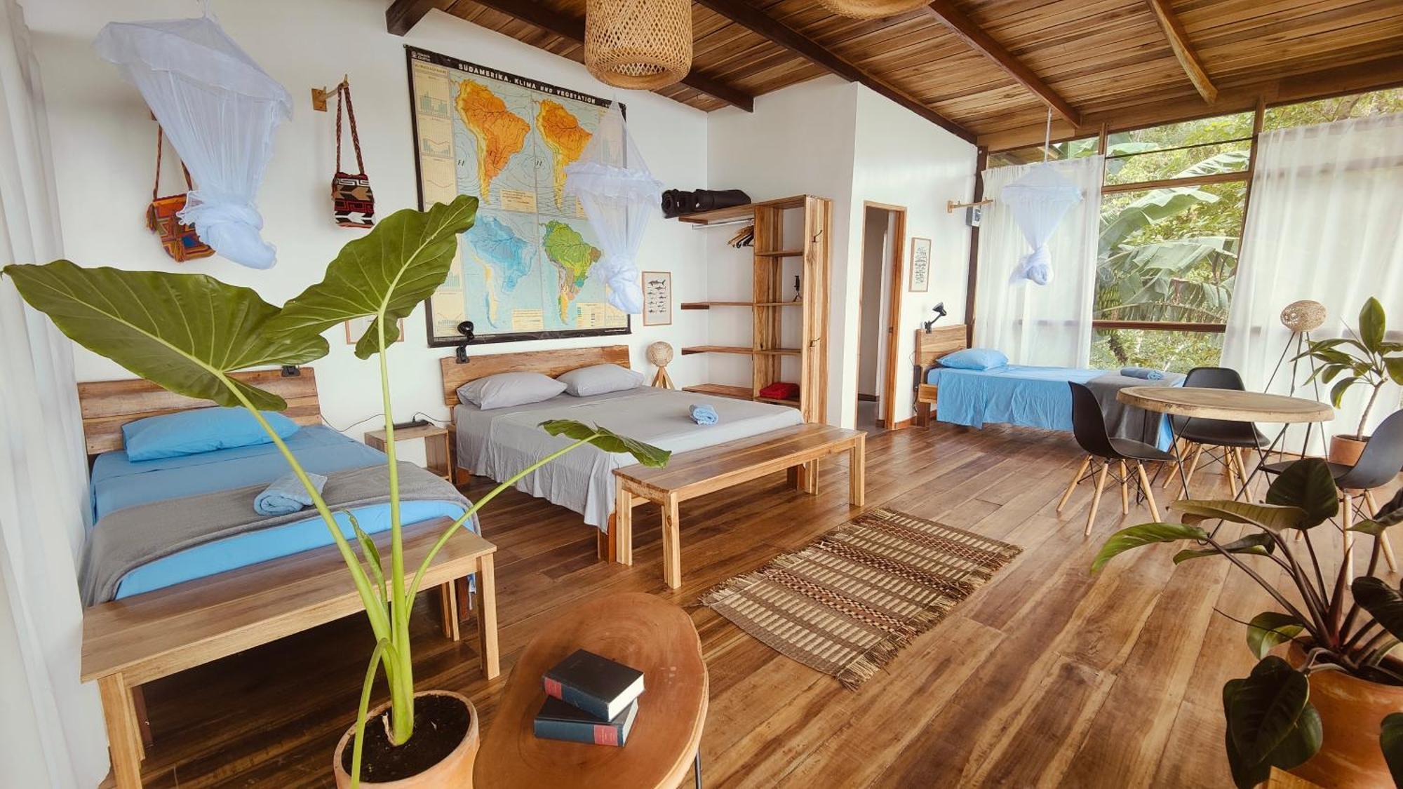 Minca Sintropia - Sustainable Lodge & Organic Coffee Finca Exterior photo