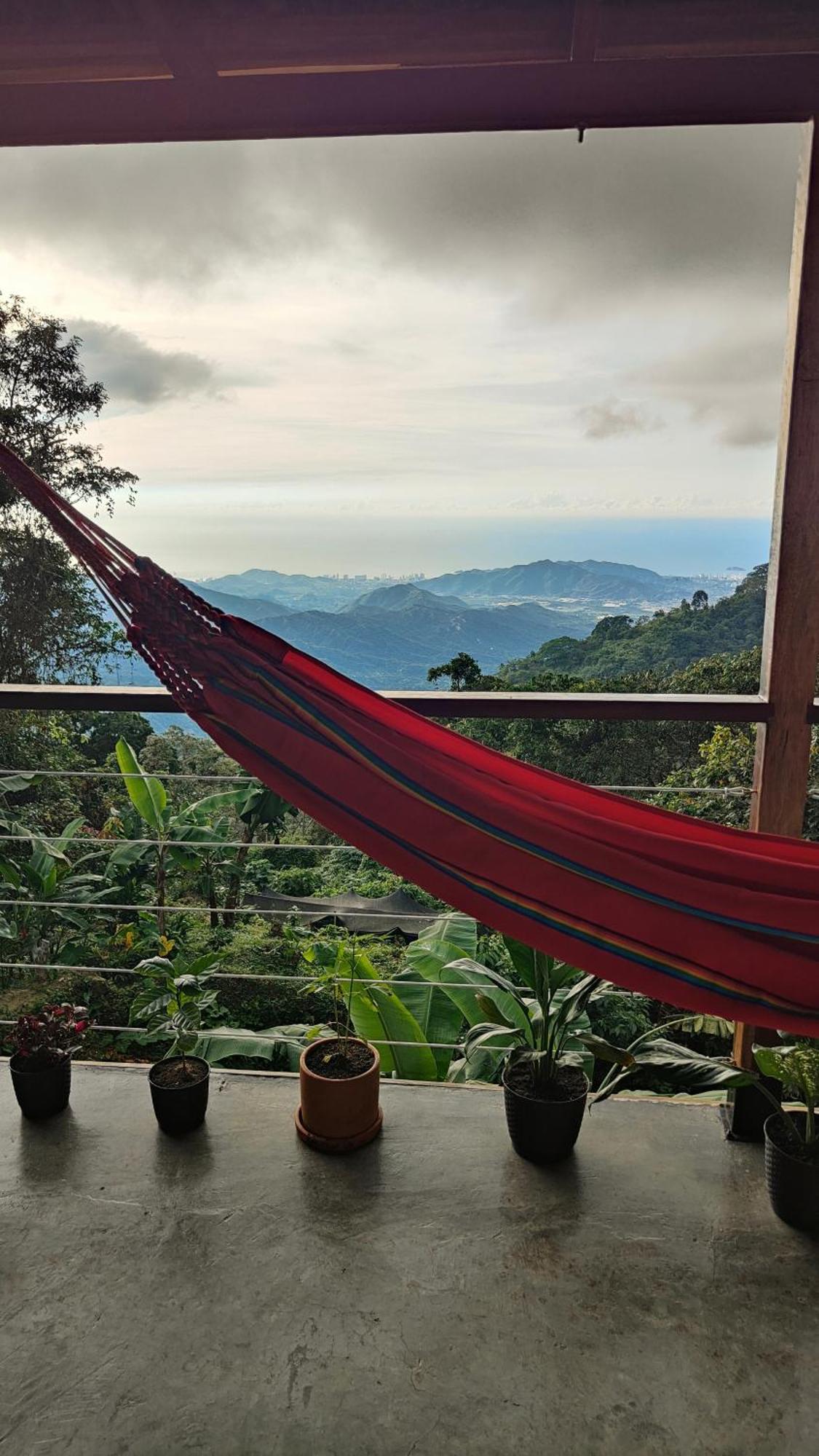Minca Sintropia - Sustainable Lodge & Organic Coffee Finca Room photo