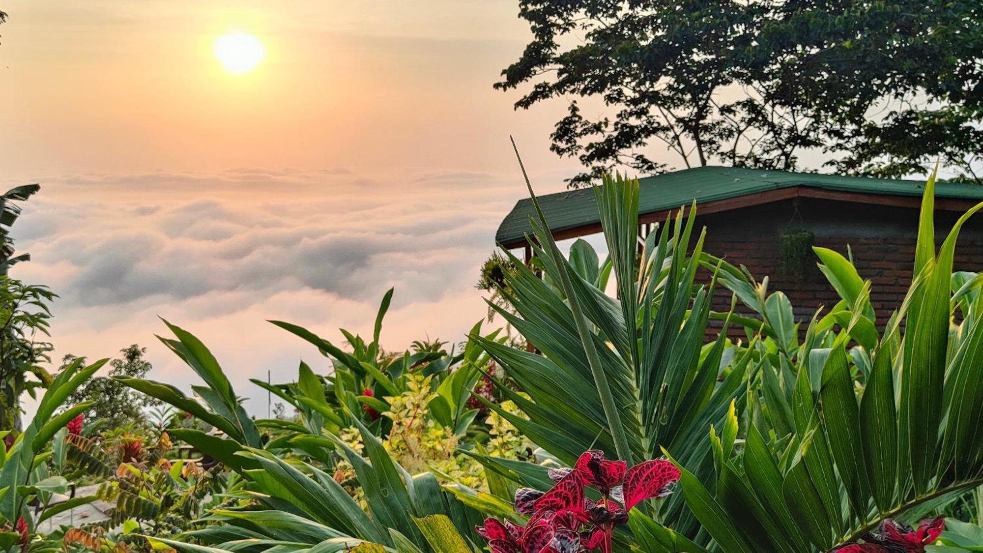 Minca Sintropia - Sustainable Lodge & Organic Coffee Finca Exterior photo